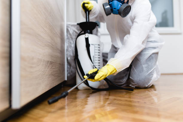 Best Best Pest Control Companies  in Lake Wazeecha, WI