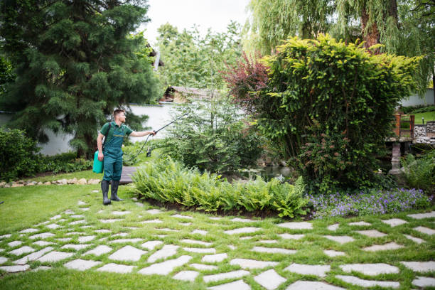 Trusted Lake Wazeecha, WI Pest Control Experts