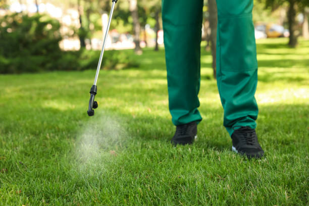 Best Rat Extermination Near Me  in Lake Wazeecha, WI