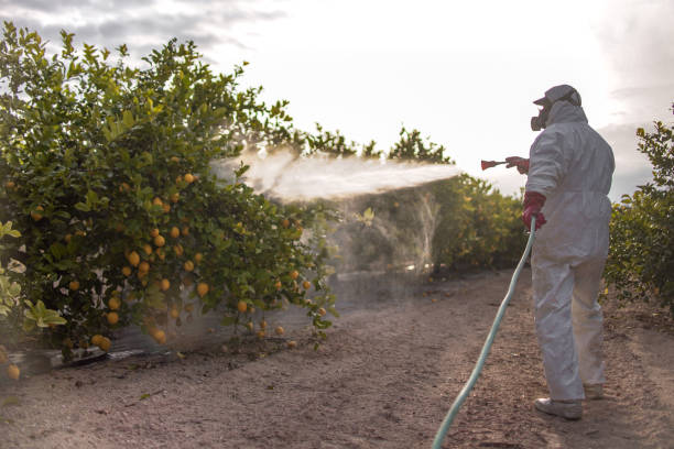 Best Termite Control Services  in Lake Wazeecha, WI