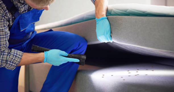 Best Local Pest Control Services  in Lake Wazeecha, WI