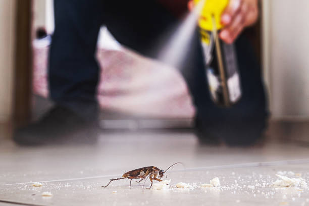 Best Spider Control Near Me  in Lake Wazeecha, WI