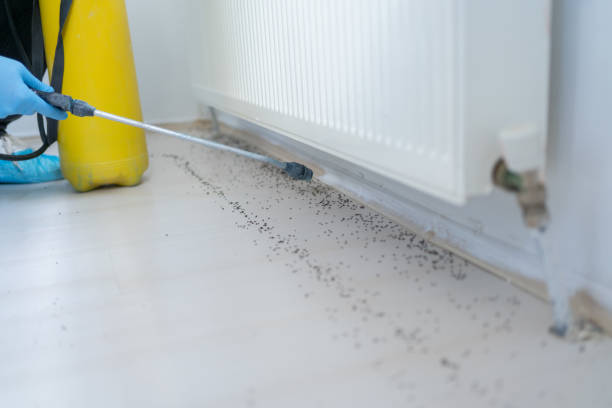 Best Pest Control Near Me in Lake Wazeecha, WI