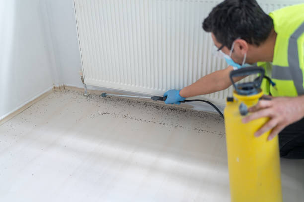Best Termite Control Services  in Lake Wazeecha, WI