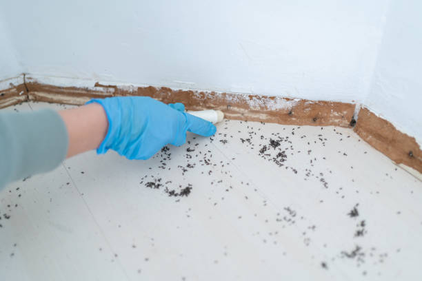 Best Commercial Pest Control Services  in Lake Wazeecha, WI