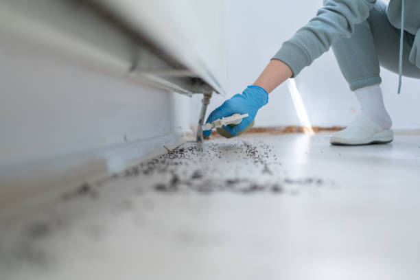Flea Control Services in Lake Wazeecha, WI